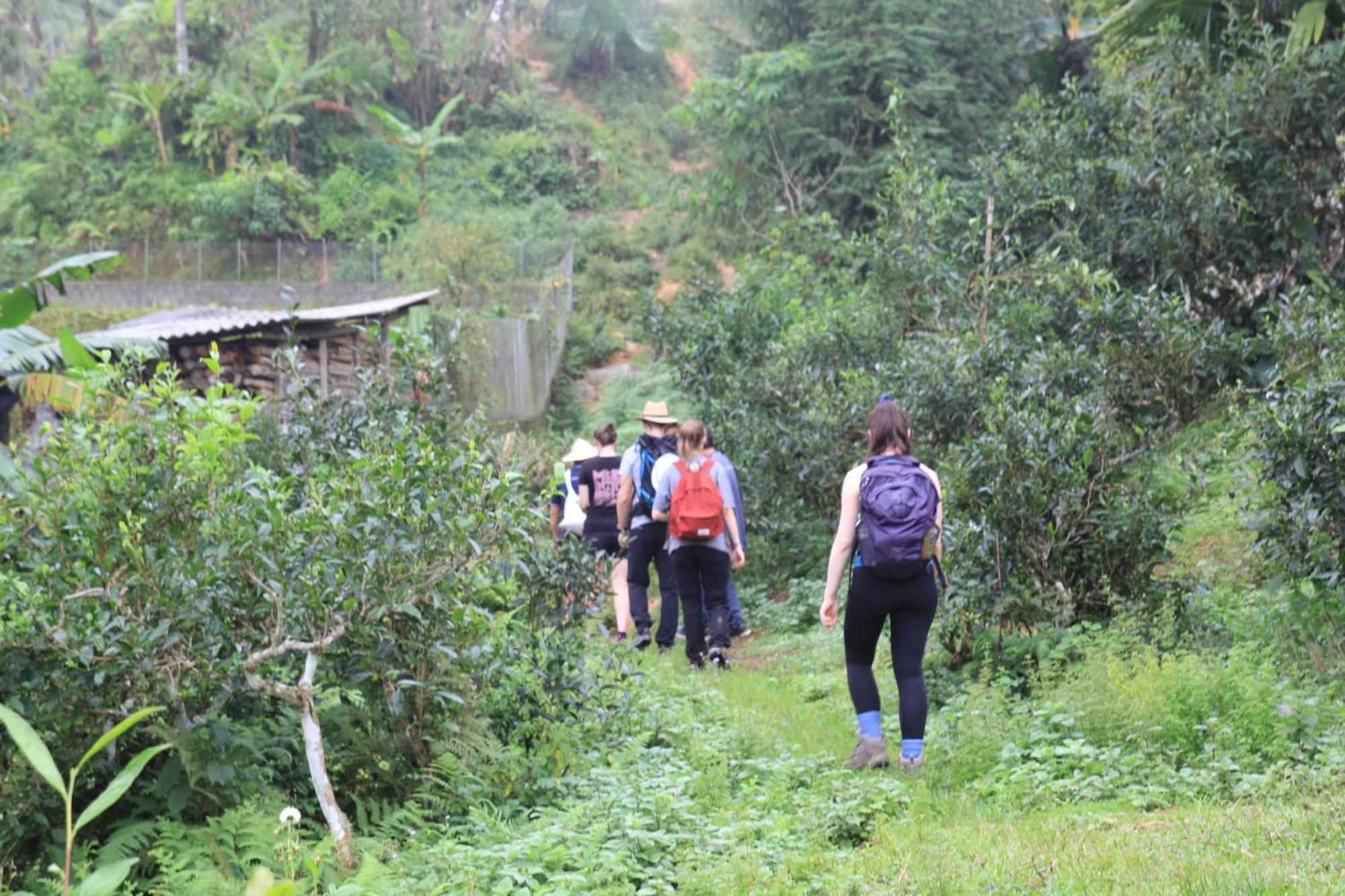 Apartamento Thavill Retreat Hagiang Ha Giang Exterior foto